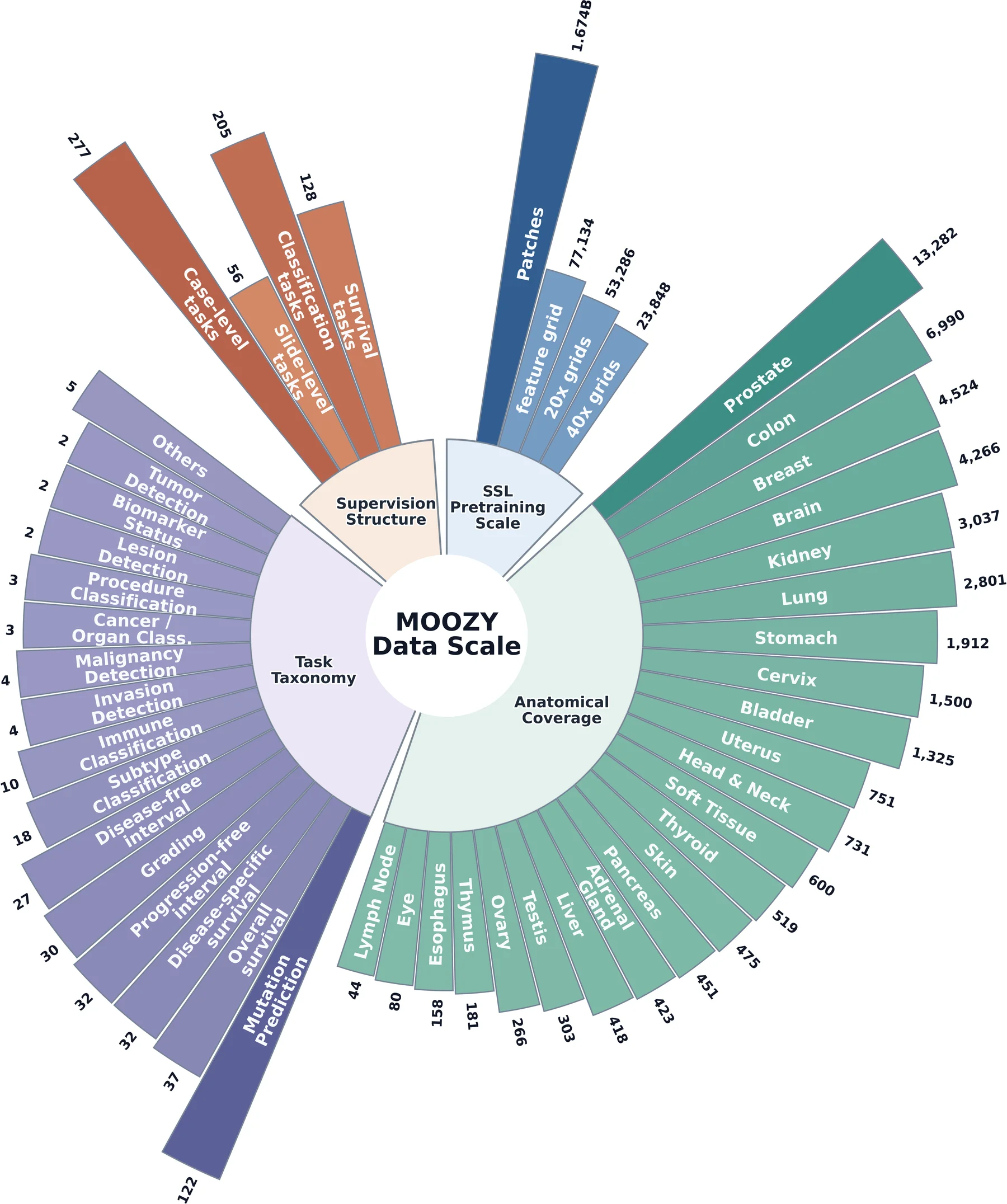 MOOZY data scale overview