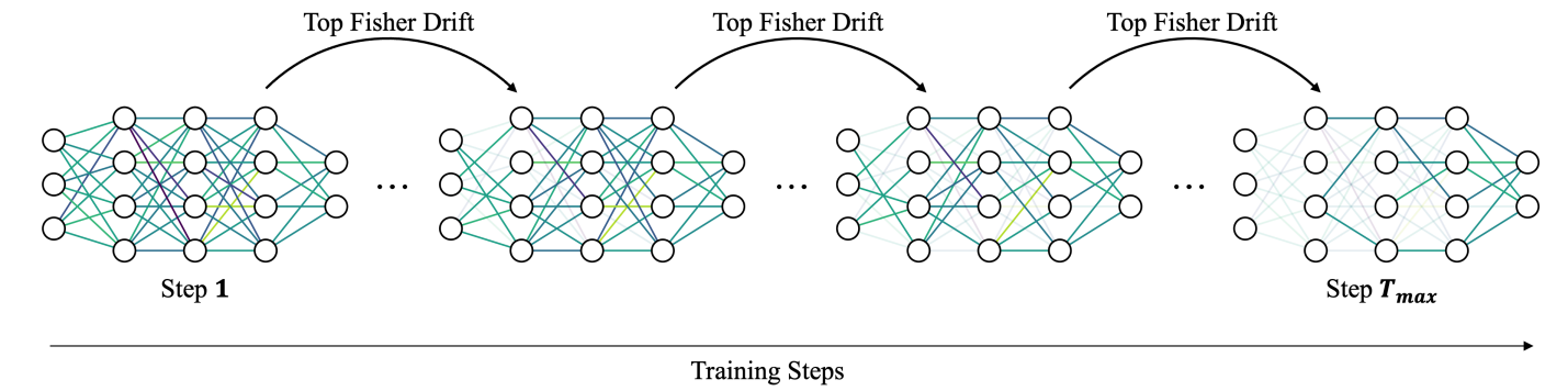Illustration for Fisher-Guided Progressive Parameter Selection for Adaptive Fine-Tuning