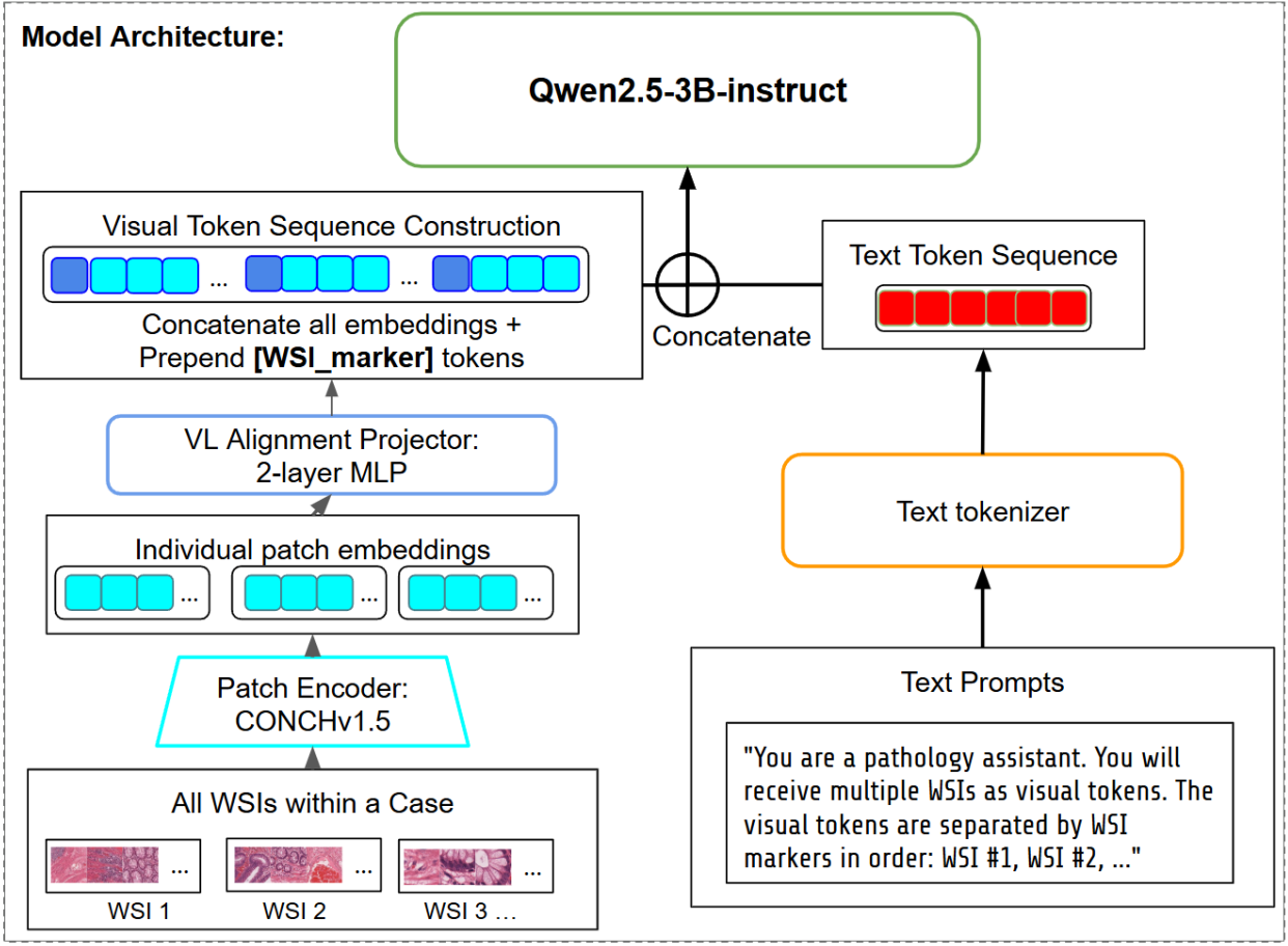 Illustration for Simple Token-Efficient Vision-Language Model for Case-level Pathology Synoptic Report Generation